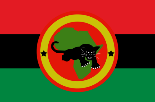 New Black Panther Party
